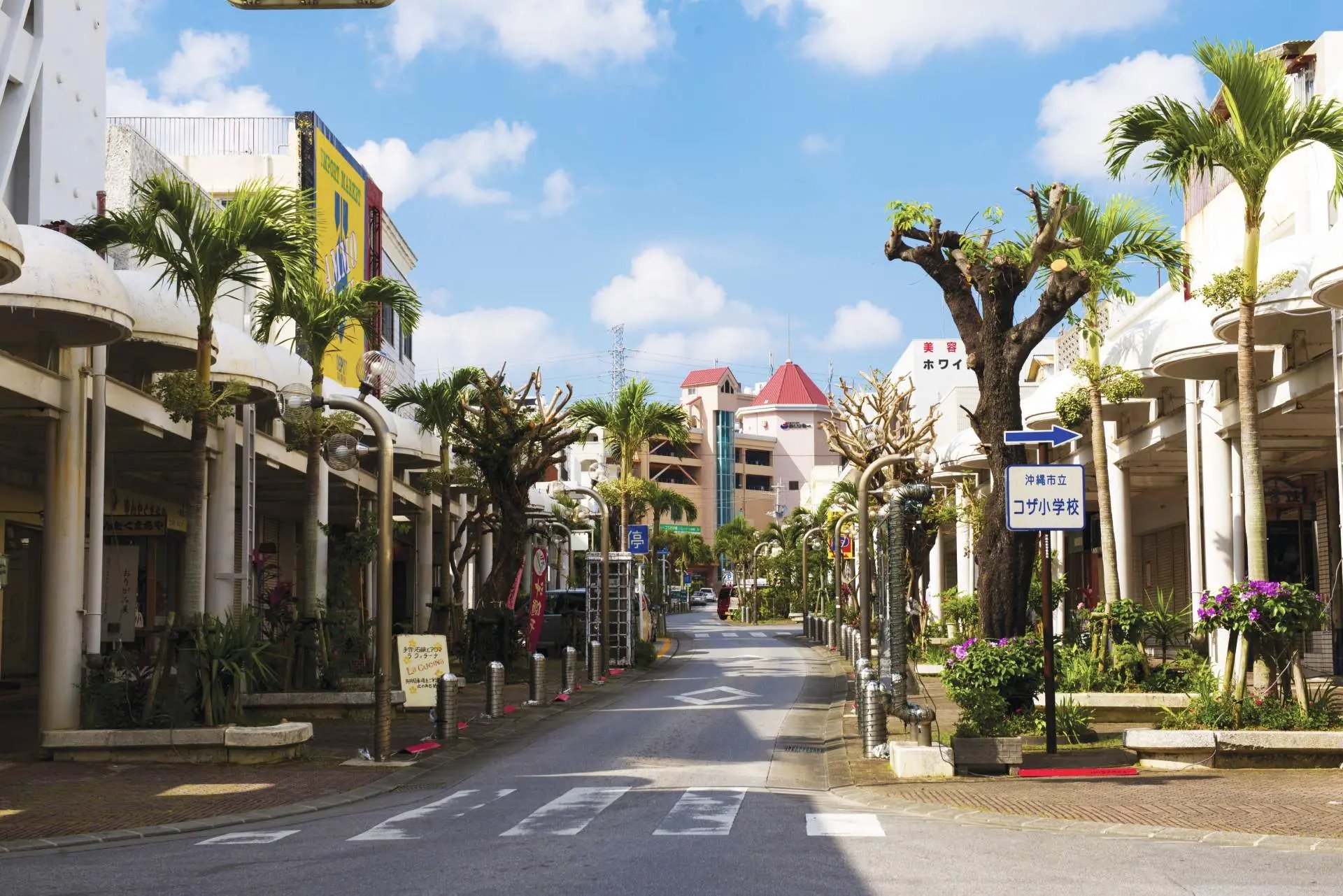 🛍️ 중앙공원 거리 (센트럴 파크 애비뉴) 이미지 3